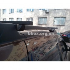 Багажник для Renault Duster 2009-2013 Amos Futura на рейлинги