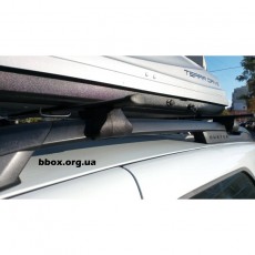 Багажник для Renault Duster 2009-2013 на рейлингиr Amos Alfa