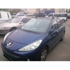 Багажник Peugeot 207  AMOS BETA KIT 107