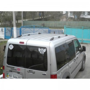 Рейлинги хромированные для Ford Connect 2002-2009 гг. с металлическими опорами