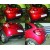 CITROEN C3 c 2009г. Фаркоп категории G - Полигон Авто