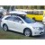 Thule Dynamic M (800) White