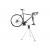 Thule RoundTrip Transition