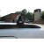 Багажник Cruz Oplus SX Stl (стальной)