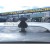 TERRA R-FIX ECONOMY ST oval багажник на рейлинги